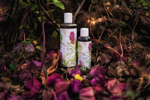 Aromaterapie: Jak Esenciální Oleje Zlepšují Zdraví a Pohodu