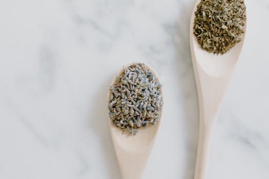 Alternativní Medicína pro Zvířata: Akupunktura, Homeopatie a Bylinky